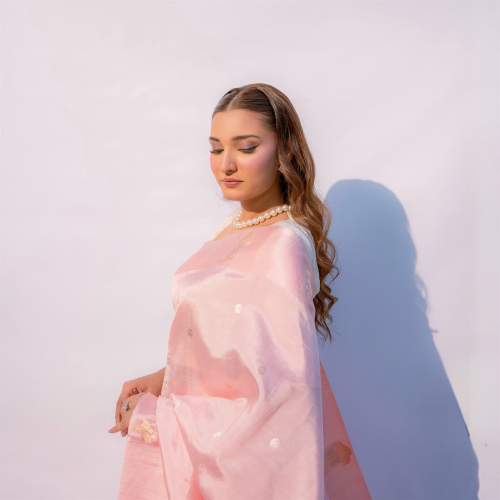 Sacred Hues 1.2 | Handwoven Banarasi Saree