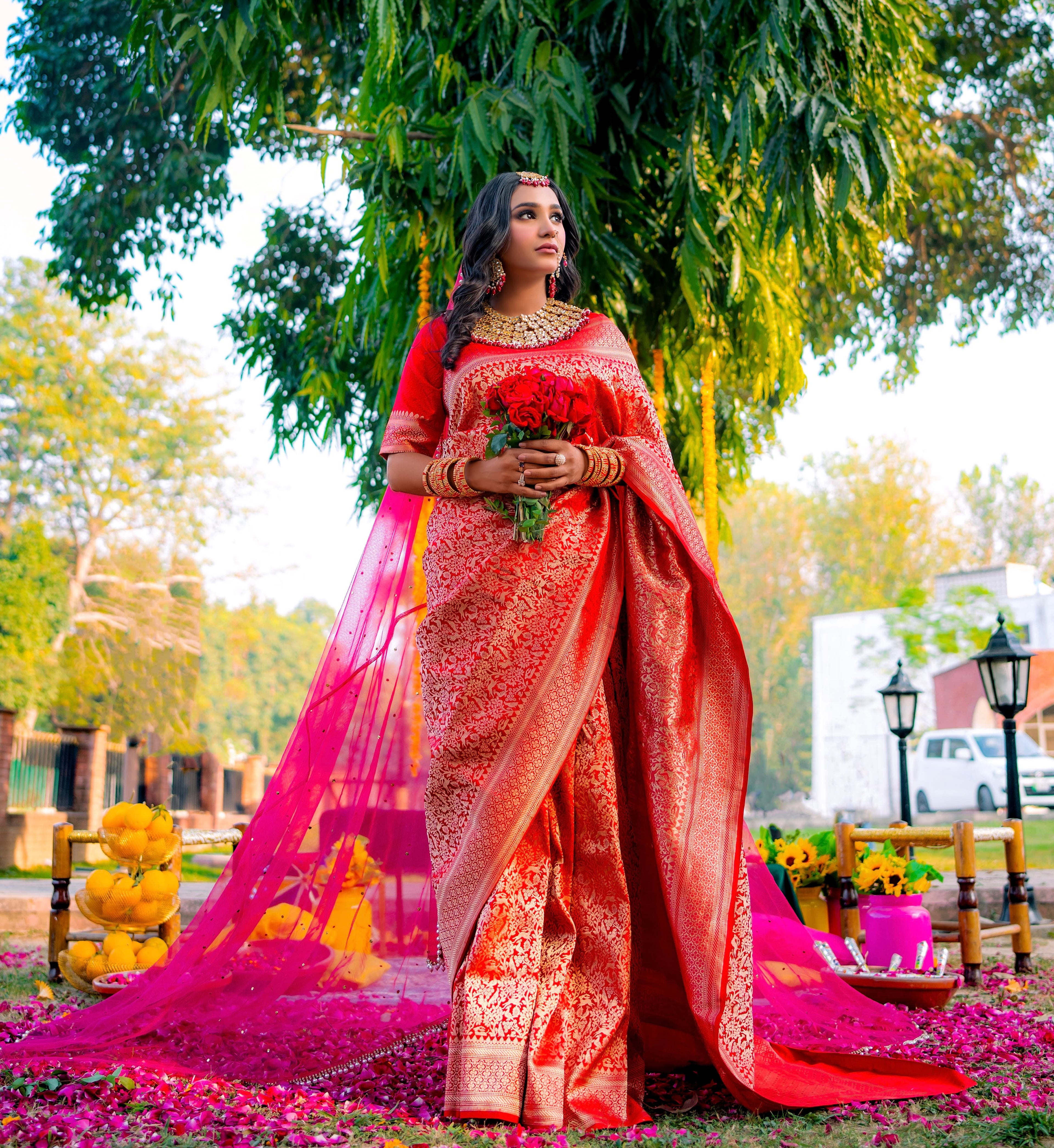 Scarlet Dynasty | Handwoven Banarasi Saree