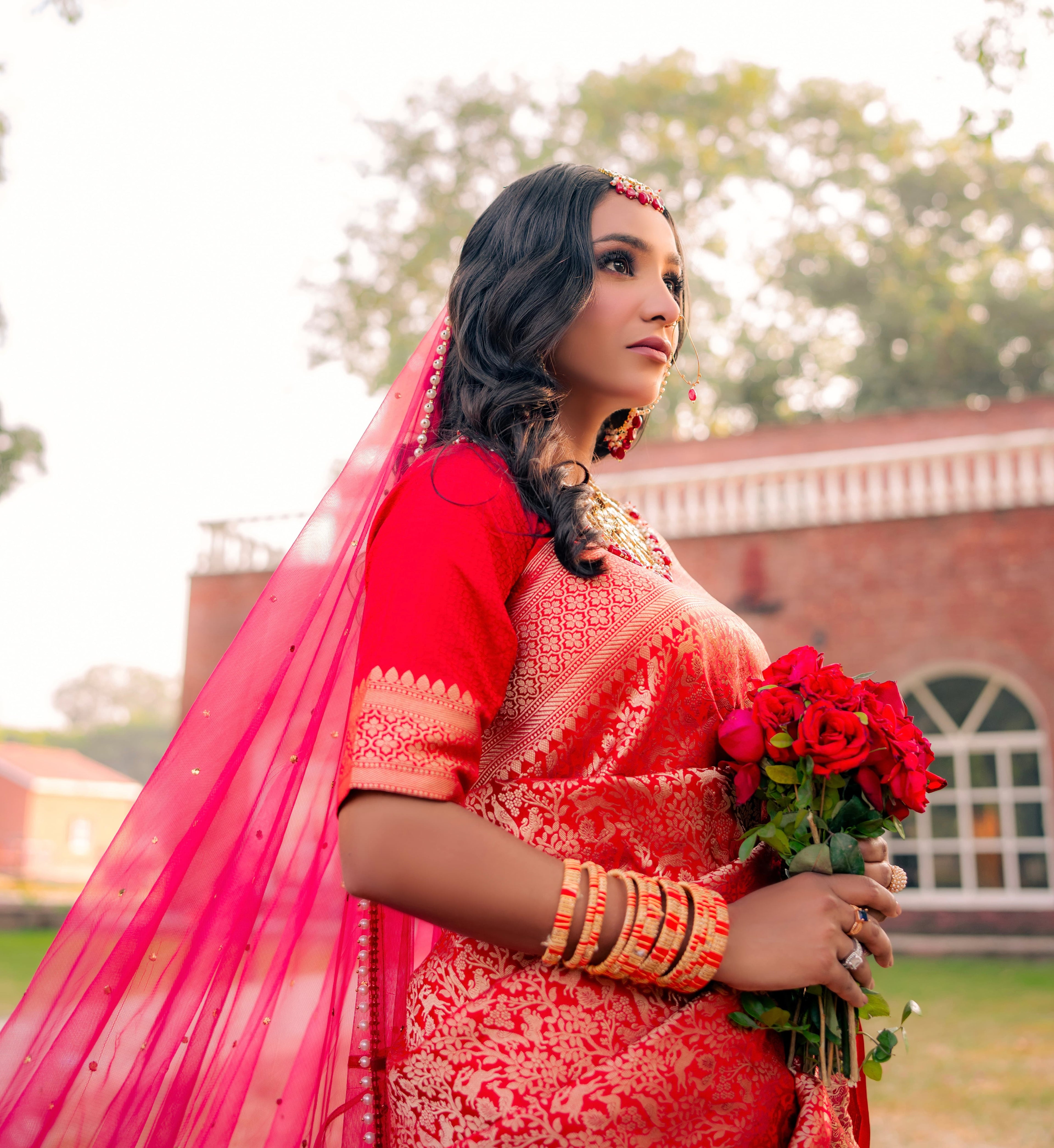Scarlet Dynasty | Handwoven Banarasi Saree