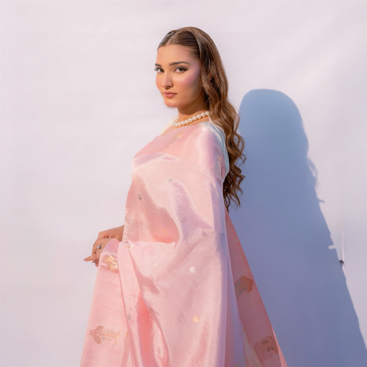 Sacred Hues 1.2 | Handwoven Banarasi Saree