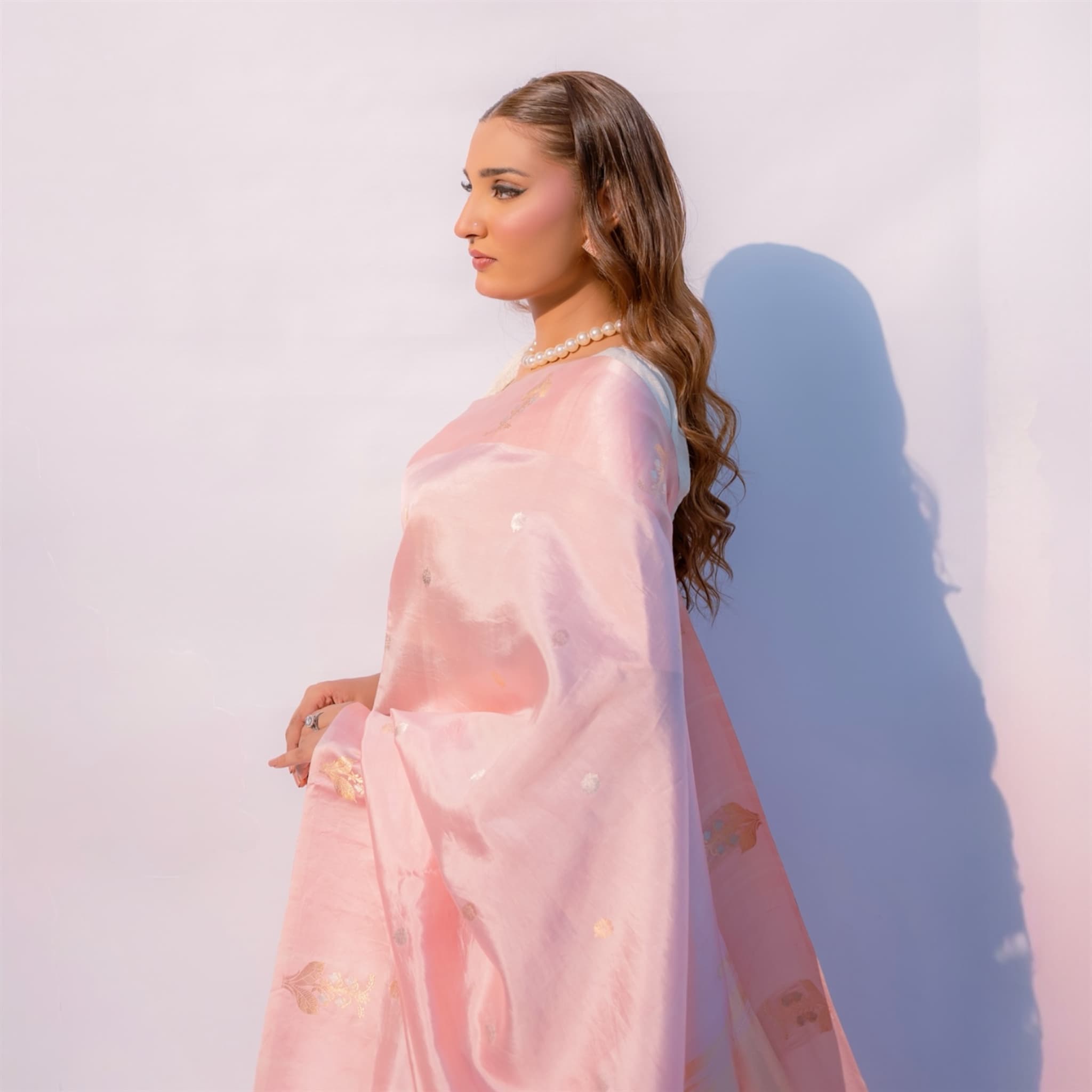 Sacred Hues 1.2 | Handwoven Banarasi Saree
