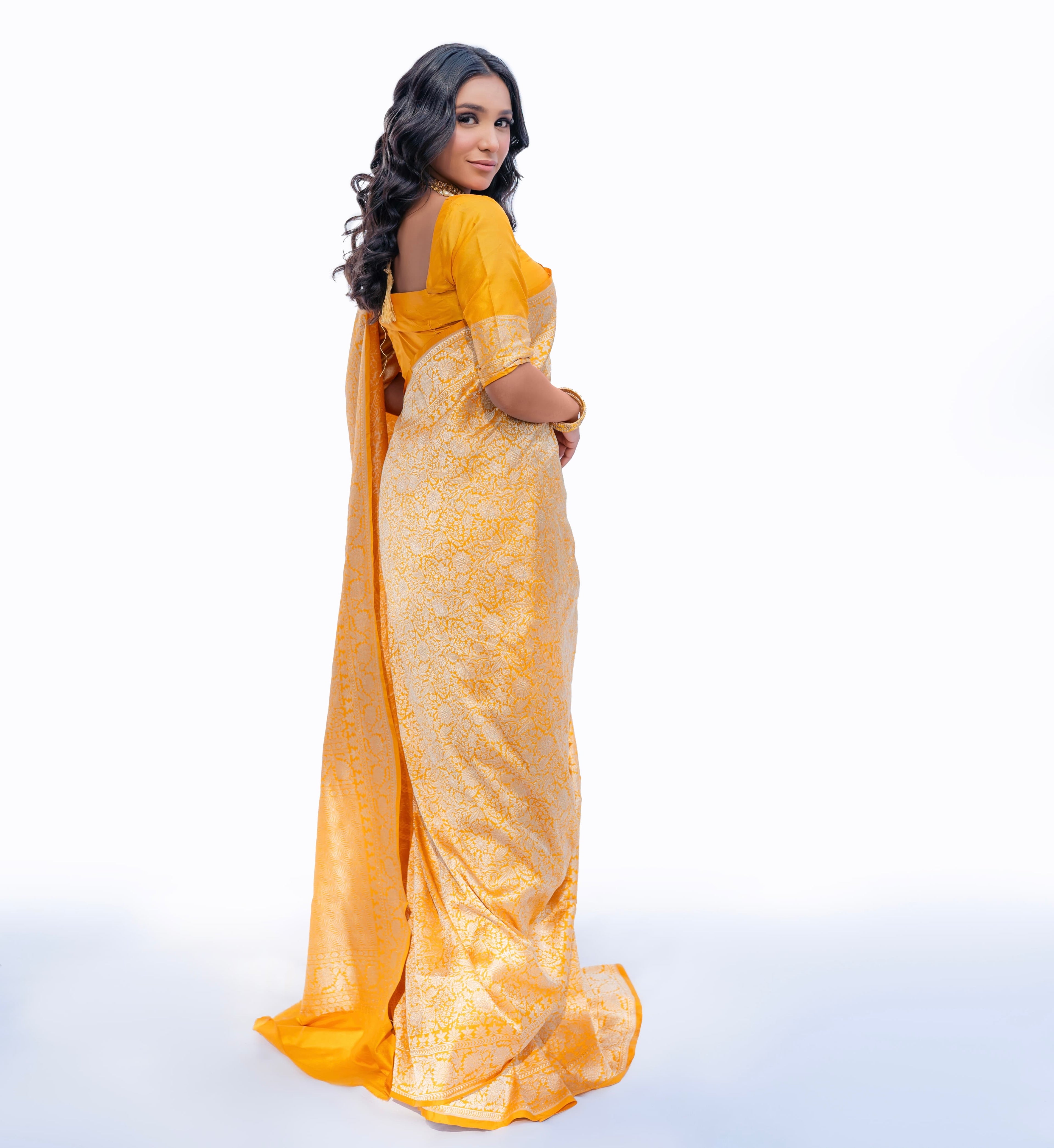 Golden Dynasty | Handwoven Banarasi Saree