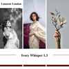 pure banarasi handwoven off-white saree uk